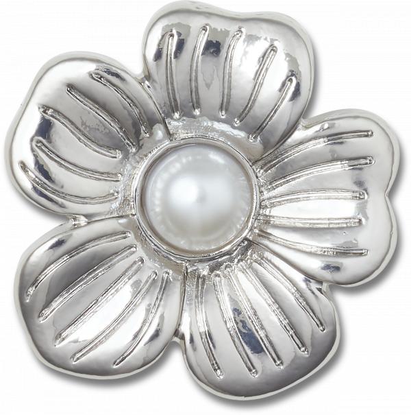 Silver Mnchrm Daisy 2